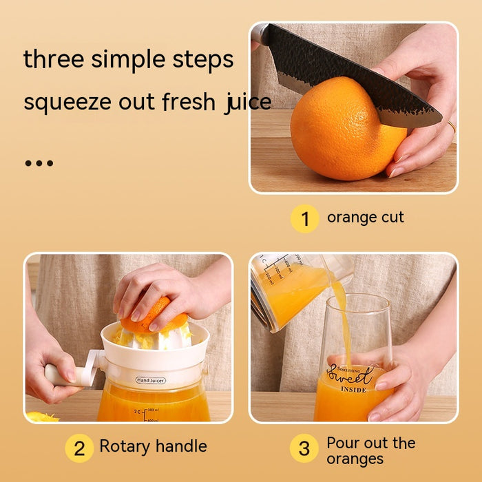 Multi-functional Small Juicer