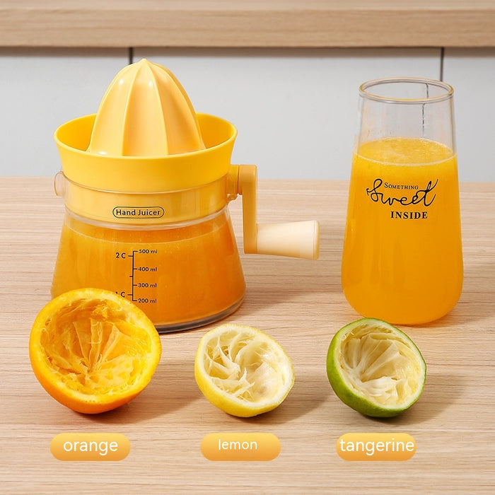 Multi-functional Small Juicer