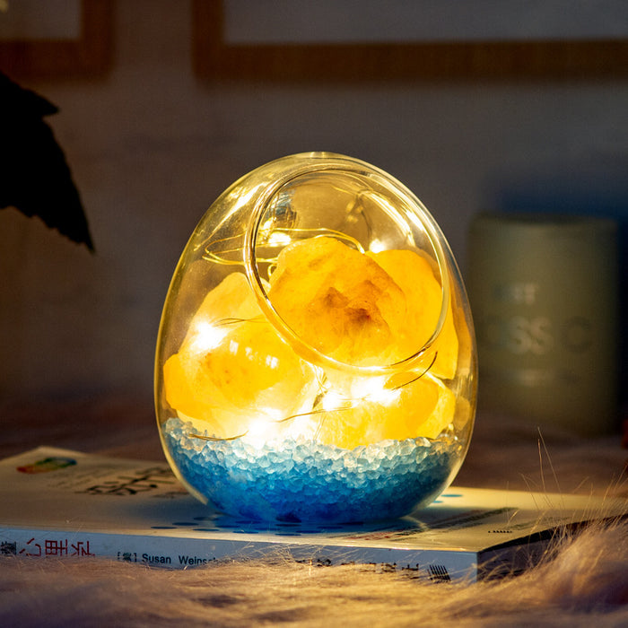Gift Bedside Night Light Himalayan Crystal Salt Lamp