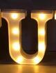 Luminous LED Letter Number Night Light