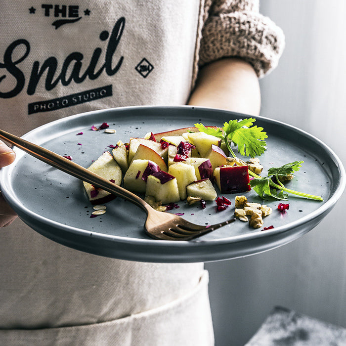 European style ceramic steak Dish