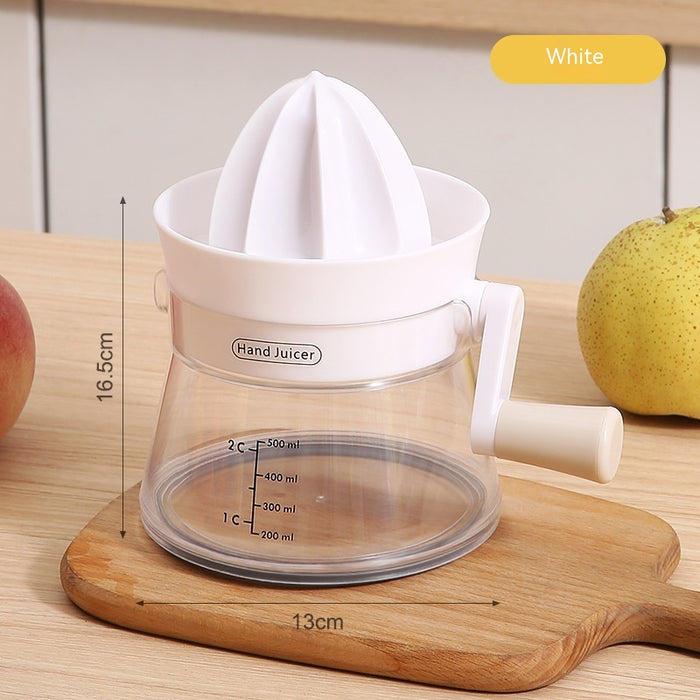 Multi-functional Small Juicer