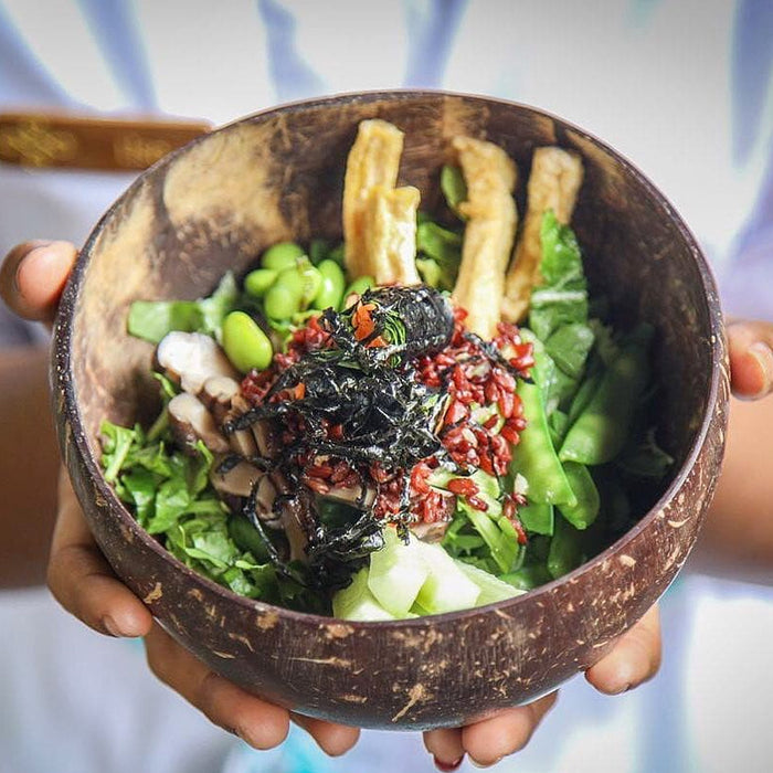 Natural coconut shell tableware rice bowl