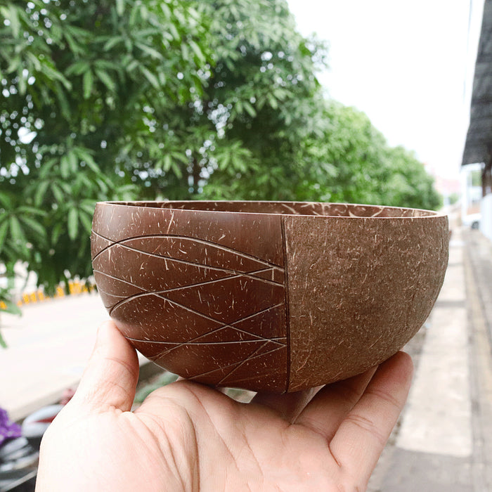 Natural coconut shell tableware rice bowl