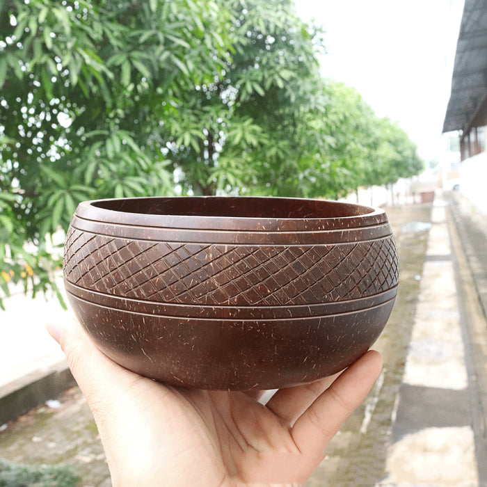 Natural coconut shell tableware rice bowl