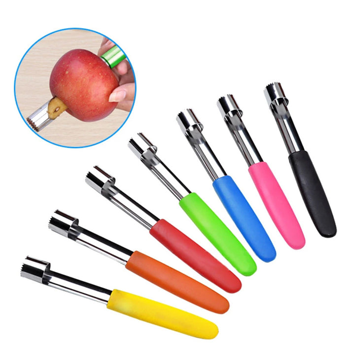 Stainless Steel Fruit Corer