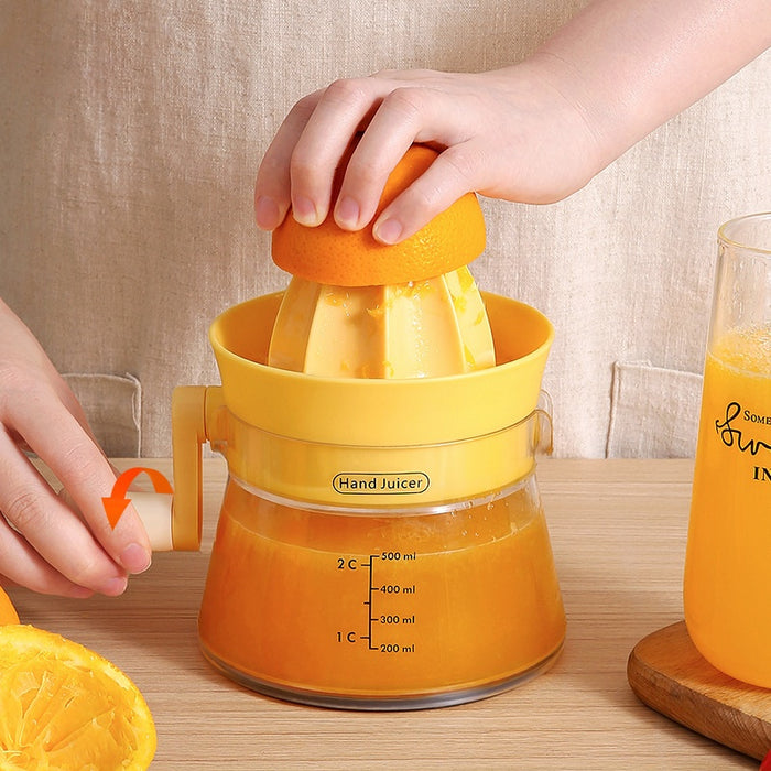 Multi-functional Small Juicer