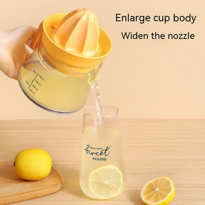 Multi-functional Small Juicer