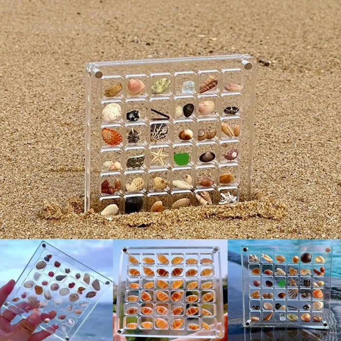 36 64 Grids Seashell Display Box Acrylic Magnetic Seashell Display Case Organizer Box Jewelry Storage Box Stackable Small Craft Compartment Box