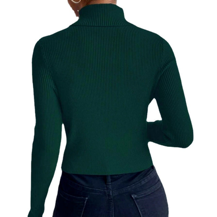 Turtleneck Slim Fit Knitwear